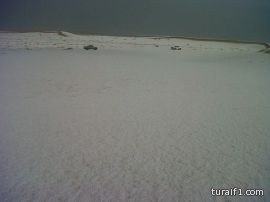 صور من بردية طبرجل صباح هذا اليوم