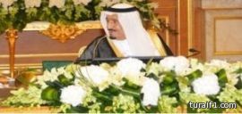 مجلس الوزراء : الدولة تتحمل 50 في المئة من رسوم جوازات السفر ورخص السير ونقل الملكية لـ 3 سنوات أخرى