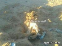 بالصور العثور على هيكل عظمي شرق طريف ( تصريح الناطق الإعلامي )