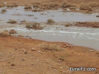 بالصور : جريان شعيب طريف من جهة الشمال وضباب يغطي المحافظة