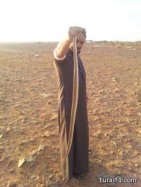 بالصور القبض على ثعبان بطول متر ونصف بحي الشفاء بطريف