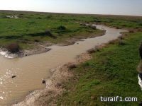 الخشيبي مازال يستهوي أهالي طريف للبحث عن الفقع ( صور )
