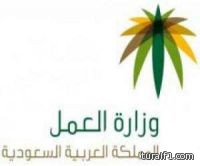إنشاء هيئة لـ”التوظيف” ومكافحة “البطالة”