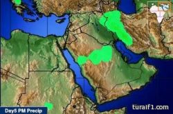 13633 سعودياً تجاوزوا الحدود بحثاً عن الفقع في الحدود الشمالية
