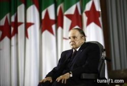 دعوة قطة طاردت كلبا هاجم طفلا لتنفيذ ضربة البداية في مباراة بيسبول