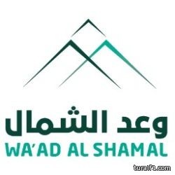 2 مليار ريال إشتراطات على شركة معادن وحلفائها في وعد الشمال لصرفها محلياً
