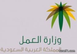 طفله سعوديه تعمل مدربه للغه الإنجليزيه.. و لا تجيد القراءه أو الكتابه بالعربيه