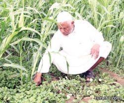 استراتيجية المياه الوطنية “حائرة”.. بين “وزارتين”