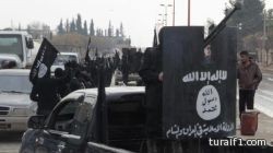 تمرد: التظاهر حالياً تحد للقانون ومتاجرة بثورة مصر