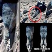 فلكي مصري يعلن قيام الساعة على كوكب المريخ وهروب الكائنات إلى الأرض!