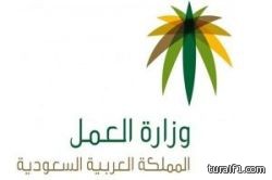 العمل: الاستقدام في الوظائف التي يتعذر توطينها