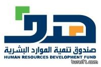 التعليم العالي تستعين بشركات أجنبية للتحقق من شهادات قيادات حكومية