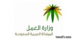 15 مليار ريال لإصلاح سوق العمل.. و1.4 مليون مواطن بالقطاع الخاص
