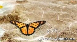 شباب طريف ينتجون فيلماً قصيراً : بكت العيون على فراق رمضان
