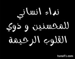 “المنسف العربي” من أفضل الأكلات في المنطقة الشمالية