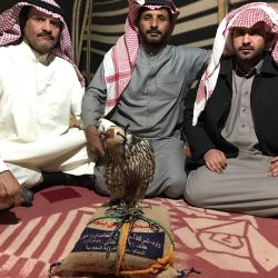 الجولة الثامنة من دوري جميل : الشباب يهزم الفيصلي في الوقت القاتل بهدف مغربي