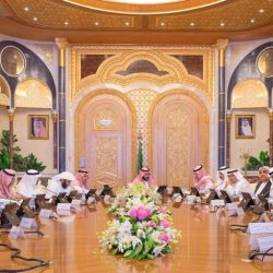 جمرك ميناء ضباء يحبط تهريب أكثر من 740 ألف حبة كبتاجون ضمن إرسالية “حقائب سفر”