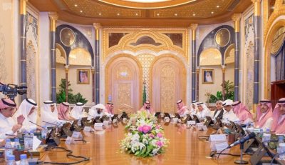 المجلس الاقتصادي يناقش تخصيص أندية دوري المحترفين