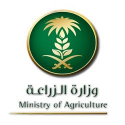 الأخضر السعودي يخسر أمام اليابان بهدفين مقابل هدف بتصفيات روسيا 2018