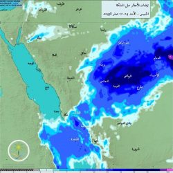 بالصور..افتتاح ملحمة جنيد نهاية الشارع العام بطريف