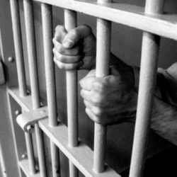 مدونة قواعد السلوك الوظيفي تعتبر تصنيف توظيف الأقارب حتى الدرجة الرابعة ضمن حالات الفساد