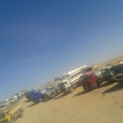 الحدود الشمالية ثاني أعلى المناطق من حيث عدد الرخص الإلكترونية على مستوى المملكة