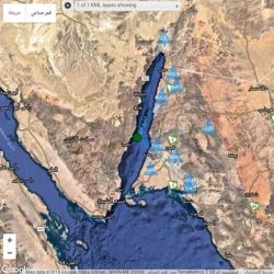 الحكم بحبس شاعر “قصيدة الإبل” ببريدة 10 شهور.. وشهرين لآخر رد عليه