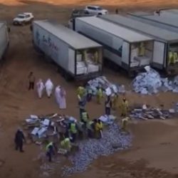 جزائية الرياض تقضي بالسجن 6 سنوات ليمني انتمى للحوثيين وأعلن استعداده للقتال ضد المملكة