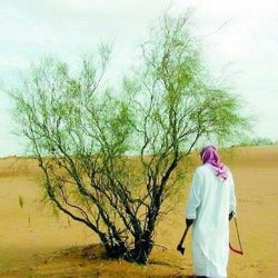 مغردون بـ”تويتر” يتندرون على تغريدة لـ “الإسكان” تدعو لحسن التعامل مع الجار