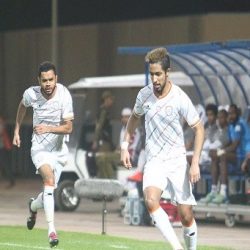 الصقار ابو فيصل شاكر الرويحل يطرح شيهانة فرخة تامه شمال غرب اسمنت الشمالية بطريف
