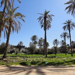 أنباء عن قيام “ساما” بمراقبة إعادة جدولة القروض.. وتمنع فرض رسوم أو تغيير في سعر الفائدة