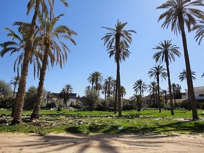 الأمم المتحدة تصنّف مدينة الأحساء ضمن المدن الأسرع نمواً وإبداعاً على مستوى العالم