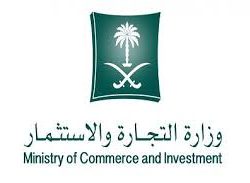 الجهات الأمنية تتمكن من الإطاحة بإيرانيَين و30 سورياً الشهر الماضي بتهمة الإرهاب