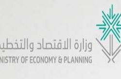 “الدخيل” يقترح فرض ضريبة على الأغنياء وإلغاء ثلث الوزارات