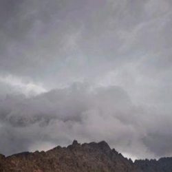 بالصور..مدير تعليم الشمالية يفتتح مبادرة السلامة المرورية بعرعر