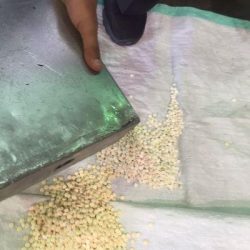 ‏الصمود يتعاقد مع المدرب المصري أحمد الشيشيني