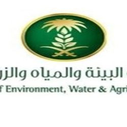 بنك إنجاز بطريف يحقق المركز الأول والدغماني يحصل على جائزة التميز