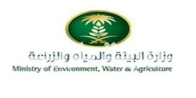 وزارة البيئة والمياه والزراعة تعلن بدء التشغيل التجريبي لمحطة تنقية مياه الشرب بالعويلقية