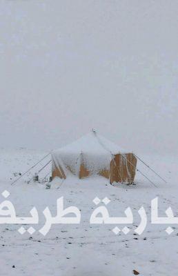 بالفيديو والصور..شاهد أجمل لقطات الثلوج بطريف وضواحيها