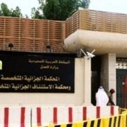 أمير الحدود الشمالية يستقبل رئيس الجمعية السعودية للثقافة والفنون