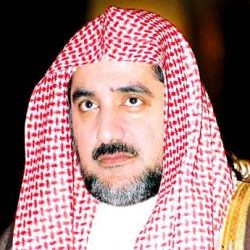 أنباء عن وجود 20 مبادرة وصناديق دعم حكومية للمواطنين ضمن ميزانية 2017