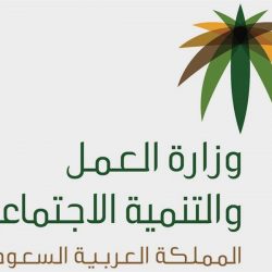 وفد إيراني يزور المملكة الخميس المقبل لتنظيم المشاركة في موسم الحج