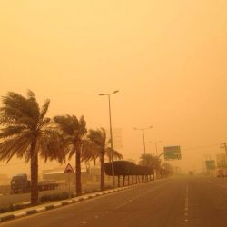 رفع آلية الاستحقاق والصرف في “حساب المواطن” للمقام السامي خلال 50 يوماً