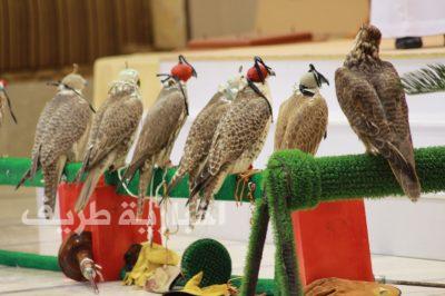 بالصور..تنظيم مزاد لبيع الصقور بمهرجان الصقور بطريف