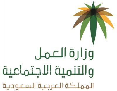 “التنمية الاجتماعية” تعتزم استحداث 200 فرصة عمل بمسمى “مدير تطوع” وتصمم برامج لتأهيل المتطوعين