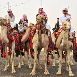 عرض جوي للصقور الخضر بفعاليات ملتقى الصقارين بطريف