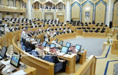مجلس الشورى يوافق على زيادة علاوة الضباط الطيارين 60%