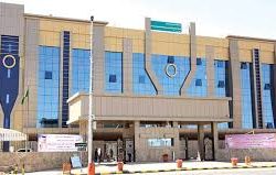 بالفيديو والصور..الصقور الخضر تزين سماء طريف