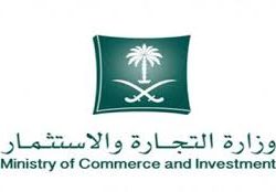 إصدار أول رخصة لتوليد الكهرباء بإستخدام طاقة الرياح لـ”أرامكو” بمحافظة طريف