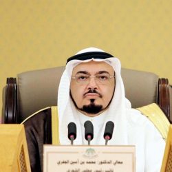 أعضاء الشورى : النظام الأمني بالشمالية مشروع عظيم نتمنى أنّ يعمم على مختلف حدود المملكة